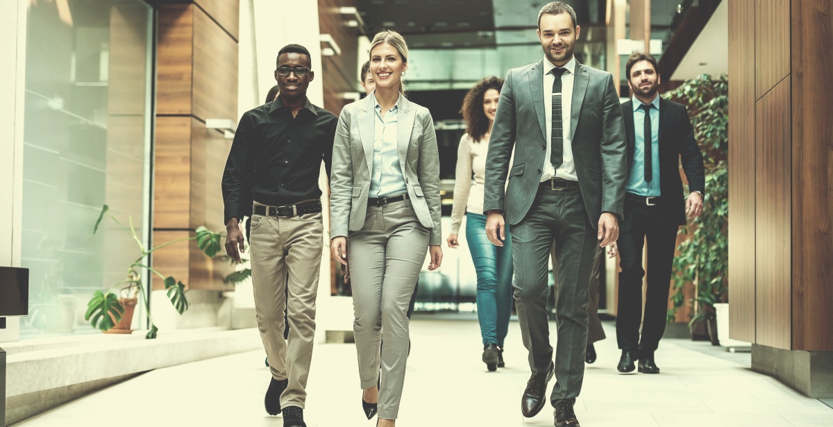 A group of multi-ethnic business professionals