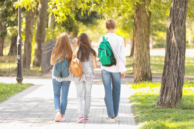 school counselor trauma-informed care