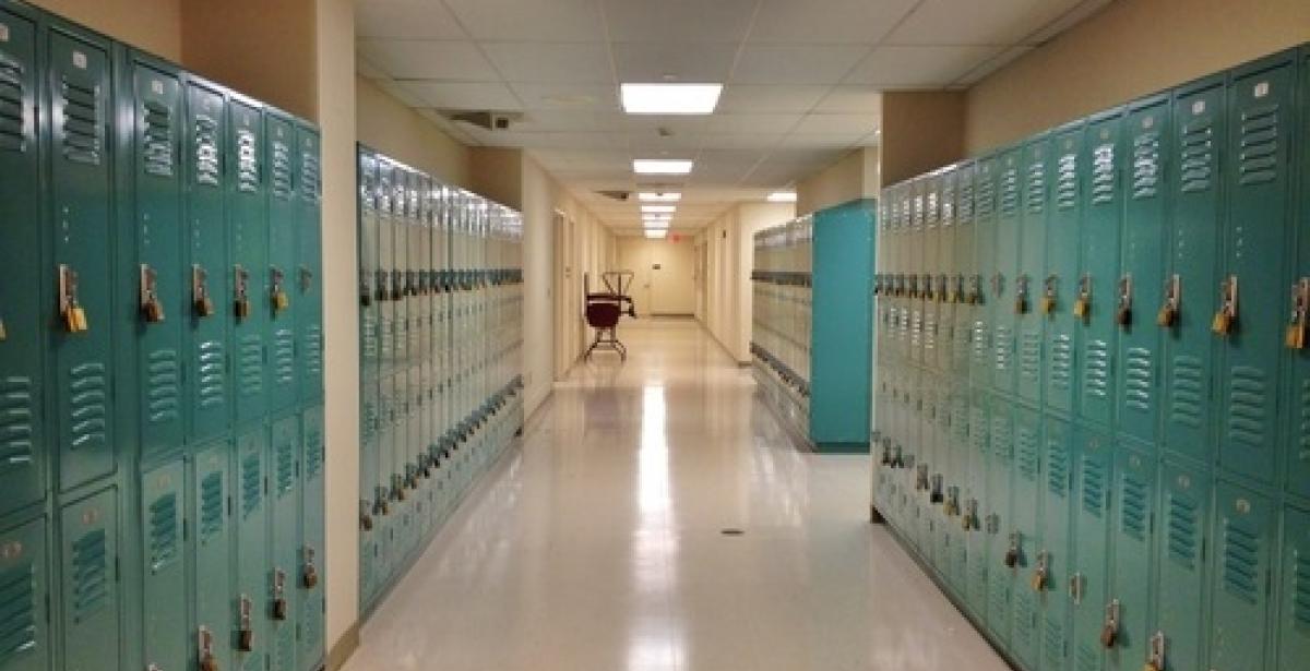 Why Earn an online MSED in School Counseling?