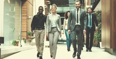 A group of multi-ethnic business professionals