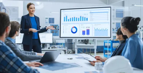 Female business analytics professional leading a meeting